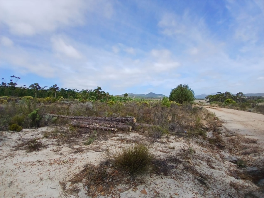 0 Bedroom Property for Sale in Napier Western Cape